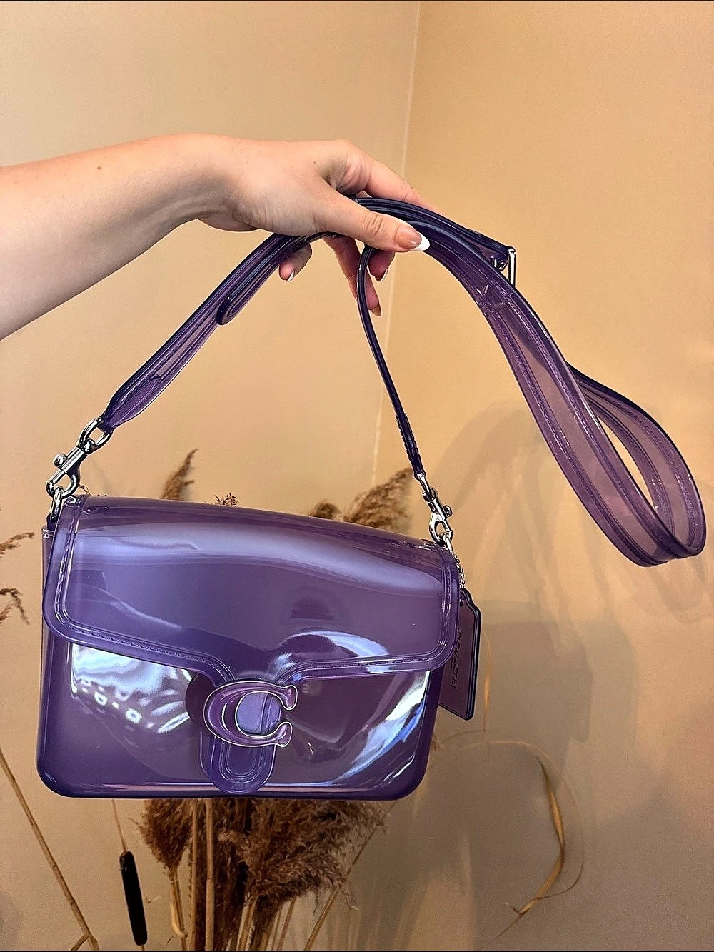 Coach Runway Limited Edition Jelly Tabby Shoulder Bag Purple Crossbody Bag